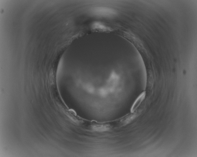 X0000081330465200701111403