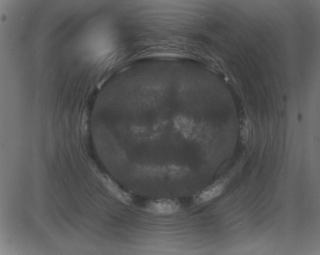 X0000081330466200701111403