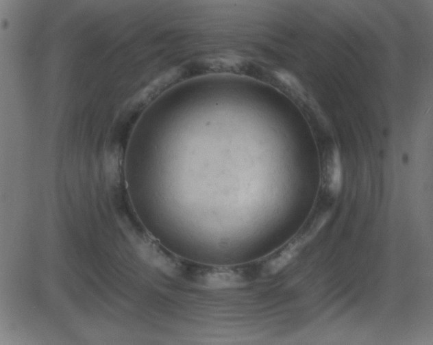X0000081330468200701111403