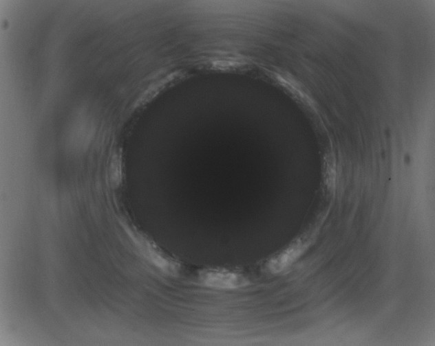 X0000081330471200701111403