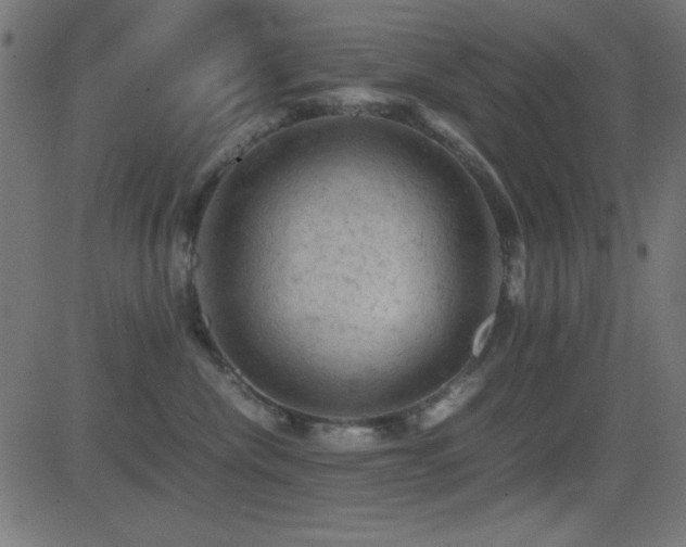 X0000081330476200701111403