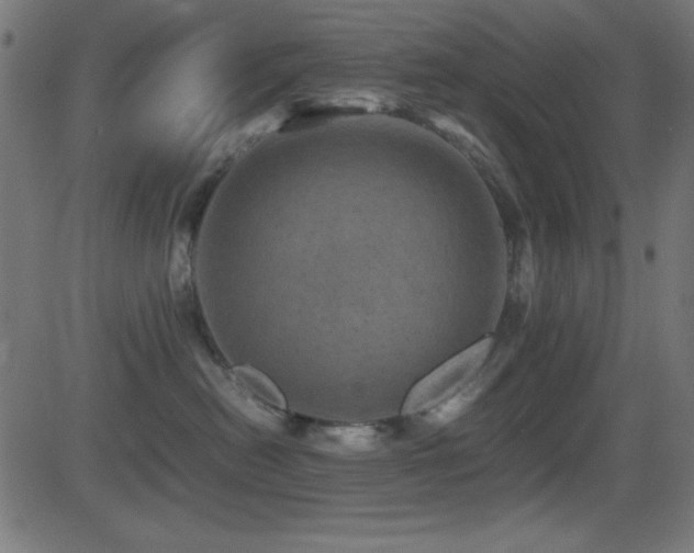 X0000081330478200701111403