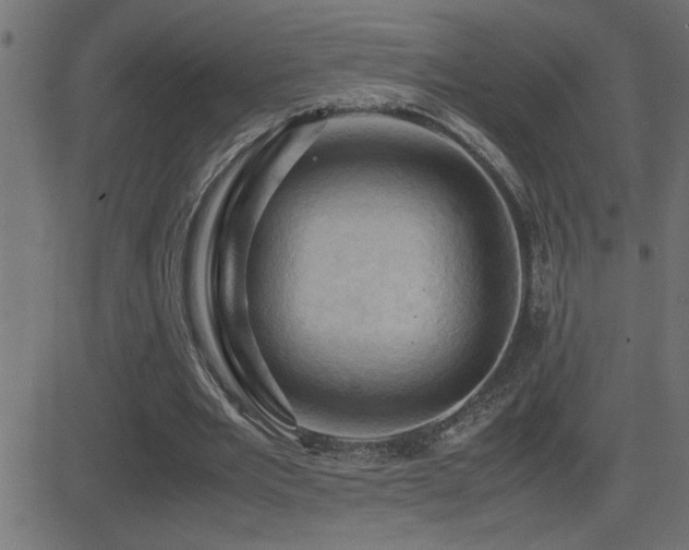 X0000081330485200701111402
