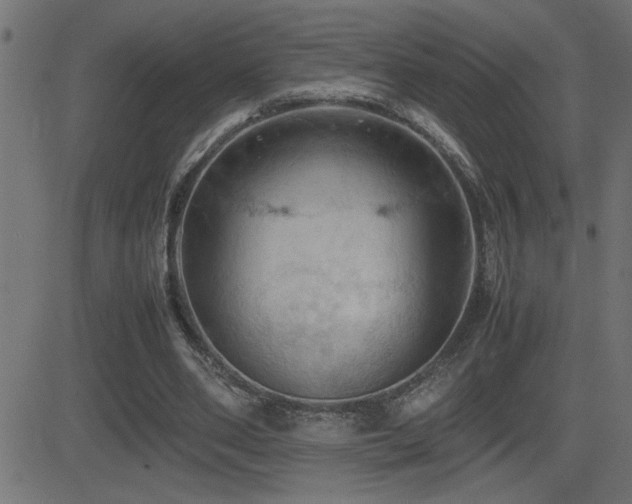 X0000081330486200701111402