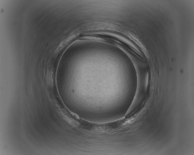 X0000081330489200701111402