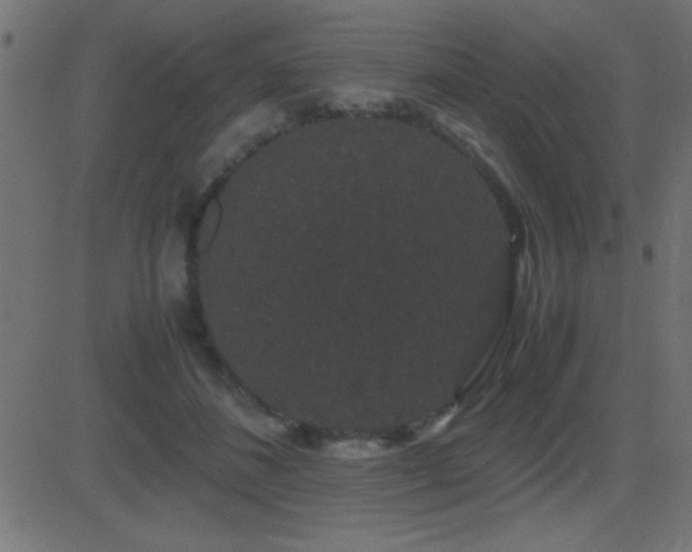 X0000081330508200701111402