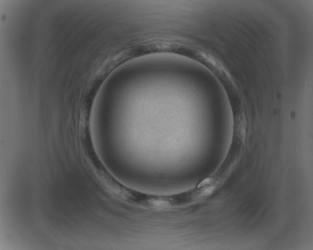 X0000081330509200701111402