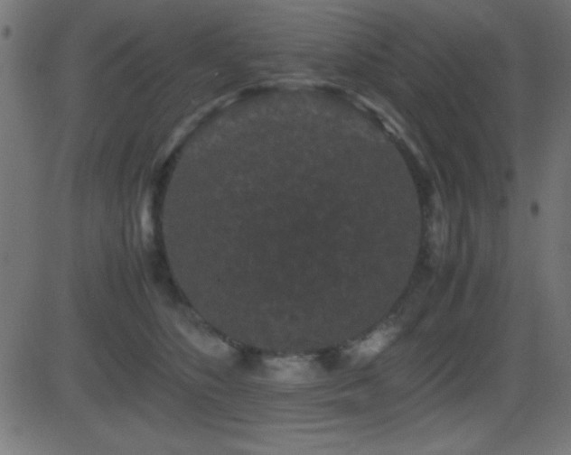 X0000081330516200701111402