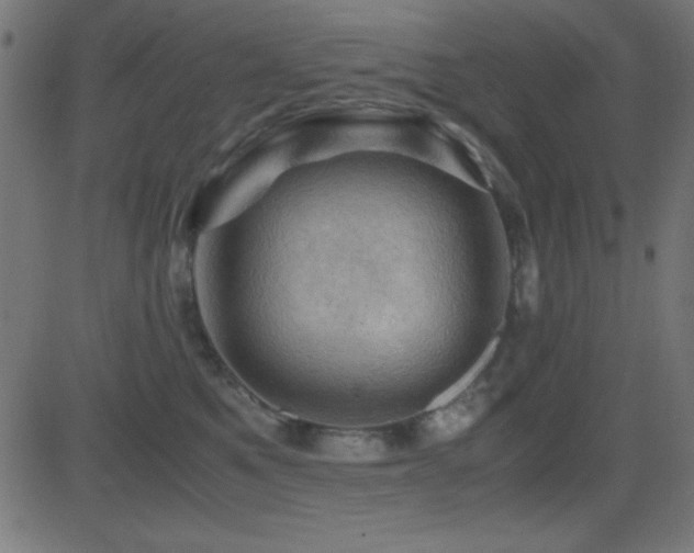 X0000081330521200701111402
