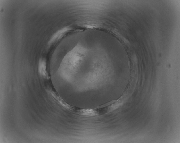 X0000081330528200701111402