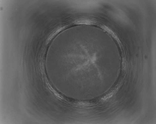 X0000081330529200701111401