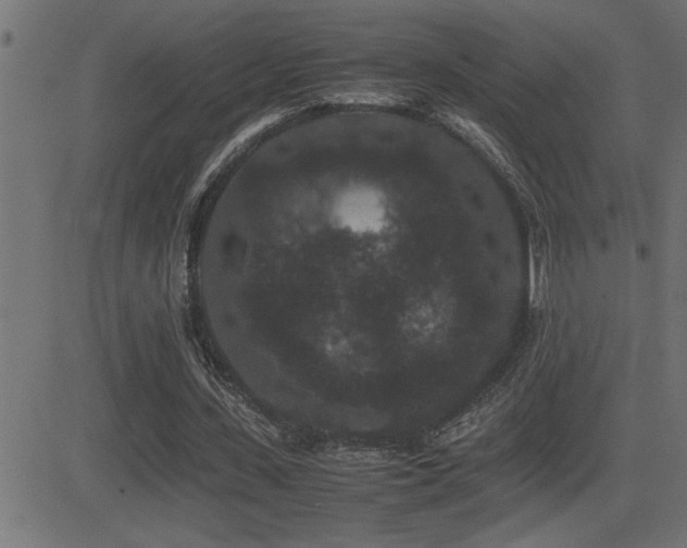 X0000081330531200701111401