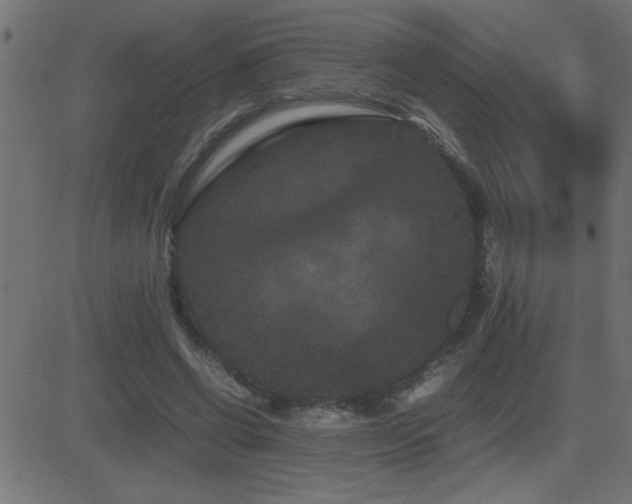 X0000081330542200701111401