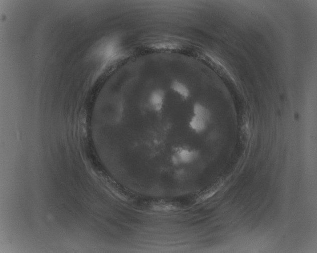 X0000081330547200701111401