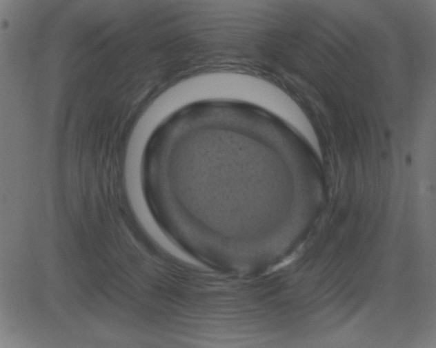 X0000081330560200701111401