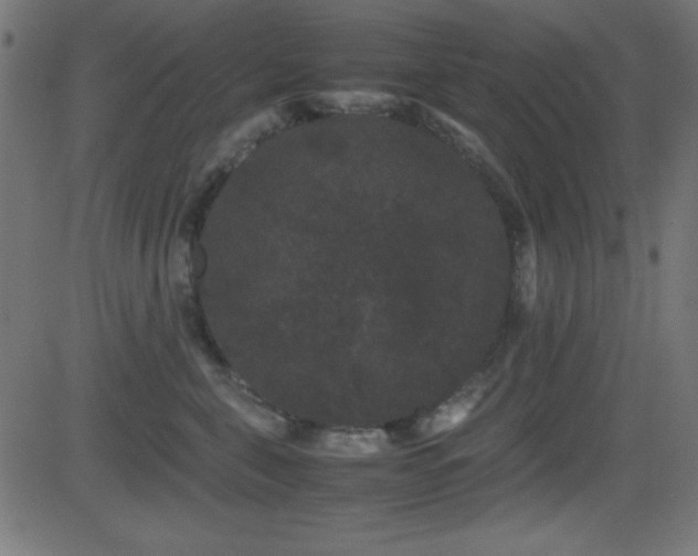 X0000081330571200701111402