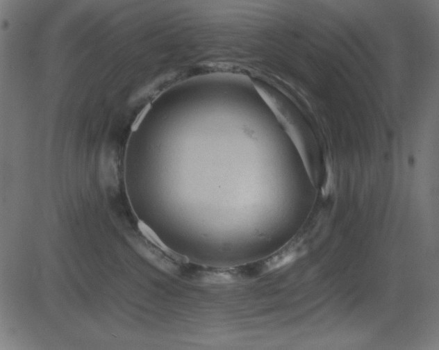 X0000081330572200701111402