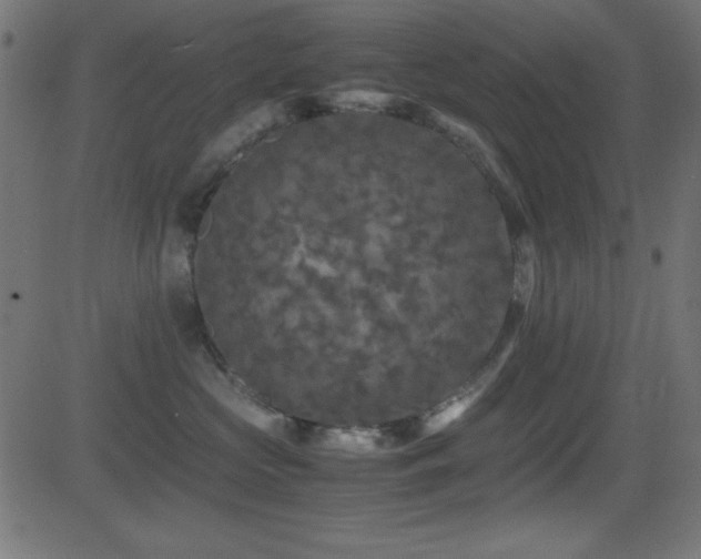 X0000081330573200701111402