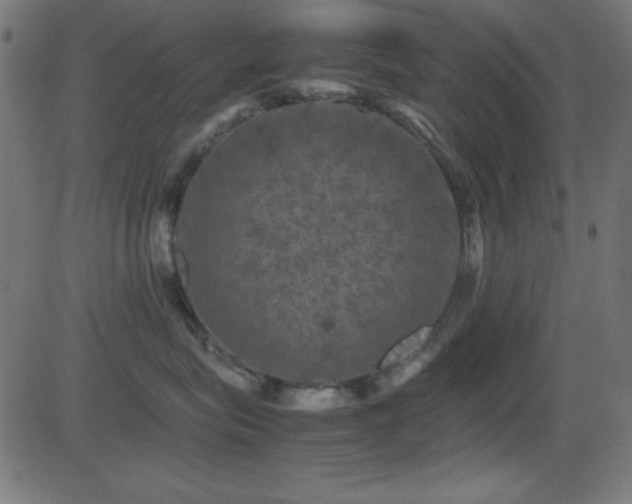 X0000081330575200701111402