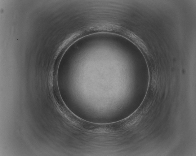 X0000081330578200701111401