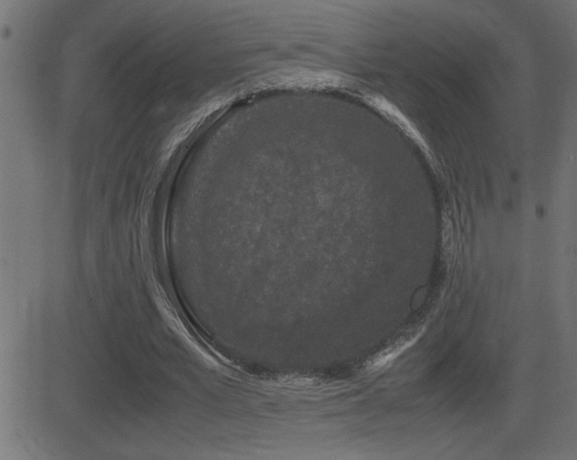 X0000081330581200701111401