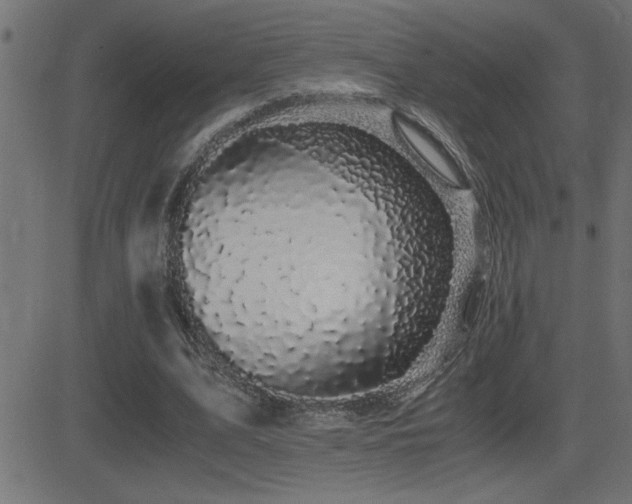 X0000081330583200701111401