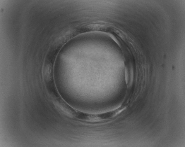 X0000081330605200701111401