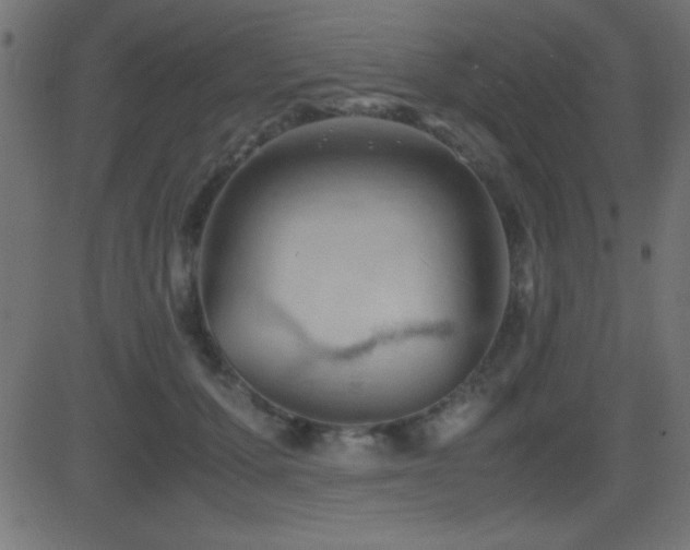 X0000081330607200701111400