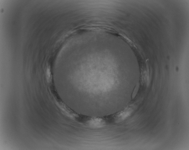 X0000081330609200701111400