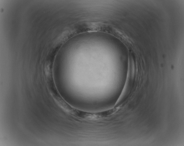 X0000081330611200701111400