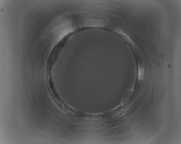 X0000081330627200701111359