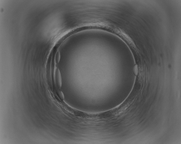 X0000081330628200701111359