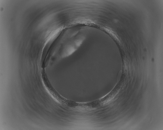 X0000081330630200701111359