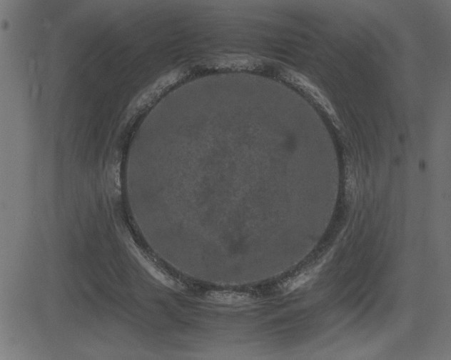 X0000081330633200701111400