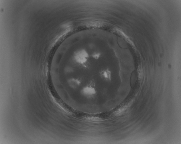 X0000081330637200701111400