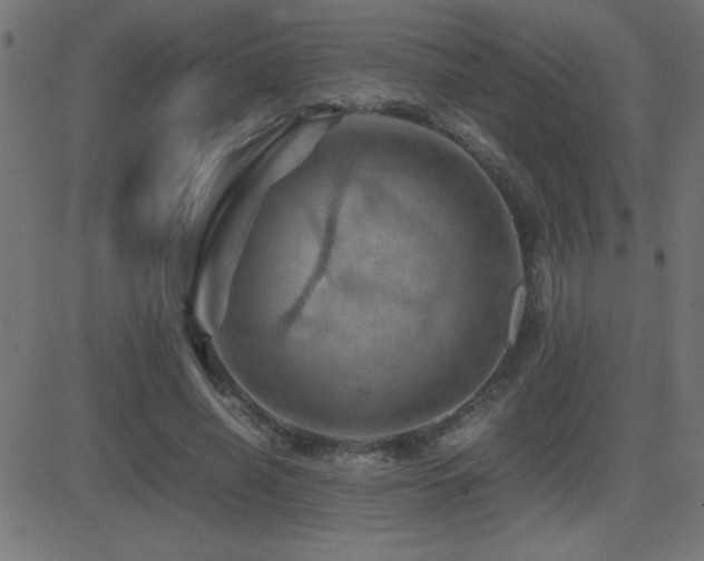 X0000081330638200701111400