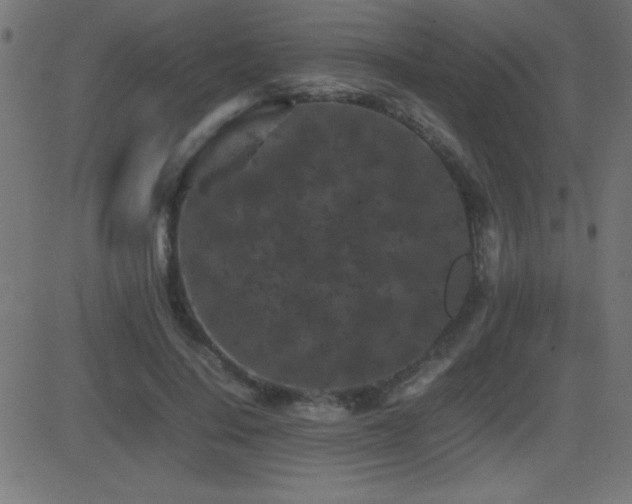 X0000081330644200701111400