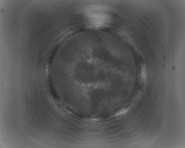 X0000081330647200701111400