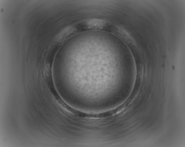 X0000081330649200701111400