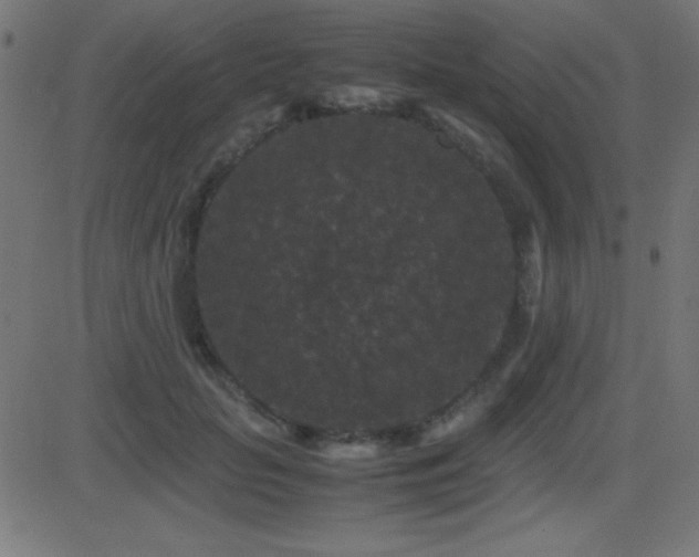 X0000081330653200701111400