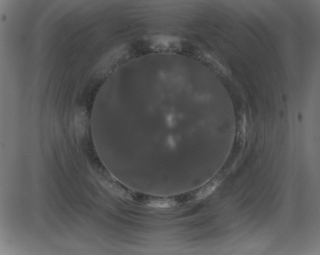 X0000081330659200701111400
