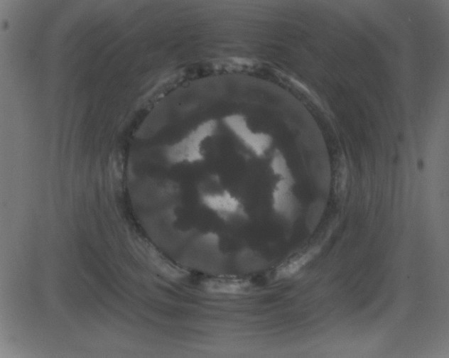 X0000081330661200701111400
