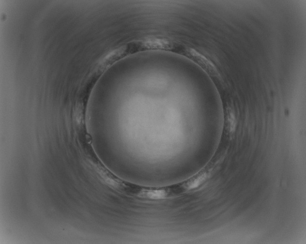 X0000081330665200701111400