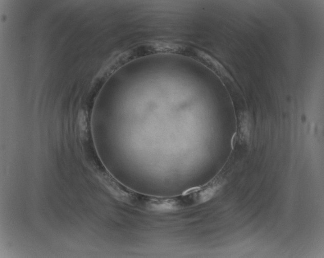 X0000081330667200701111400