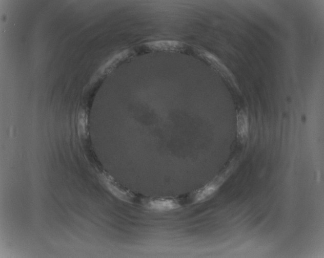 X0000081330669200701111400