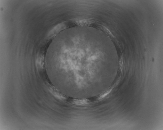 X0000081330671200701111400