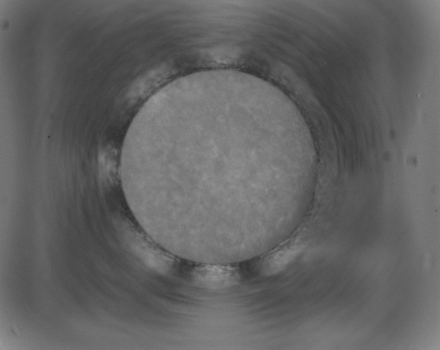 X0000081330672200701111400