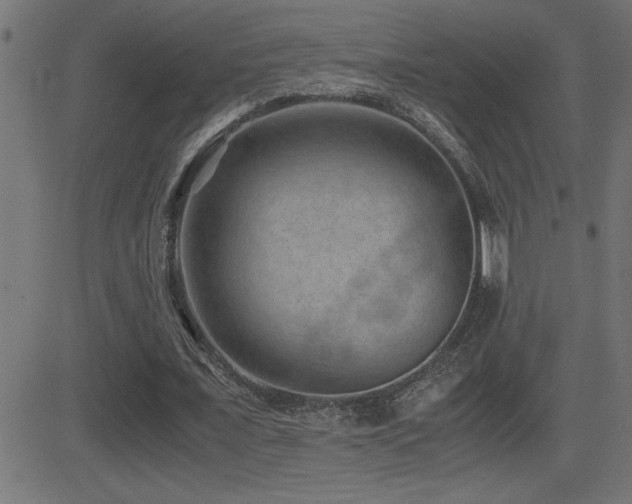 X0000081330675200701111359
