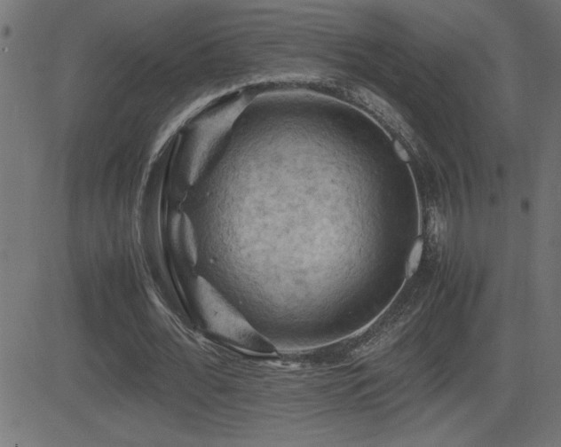 X0000081330676200701111359