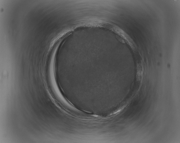 X0000081330677200701111359